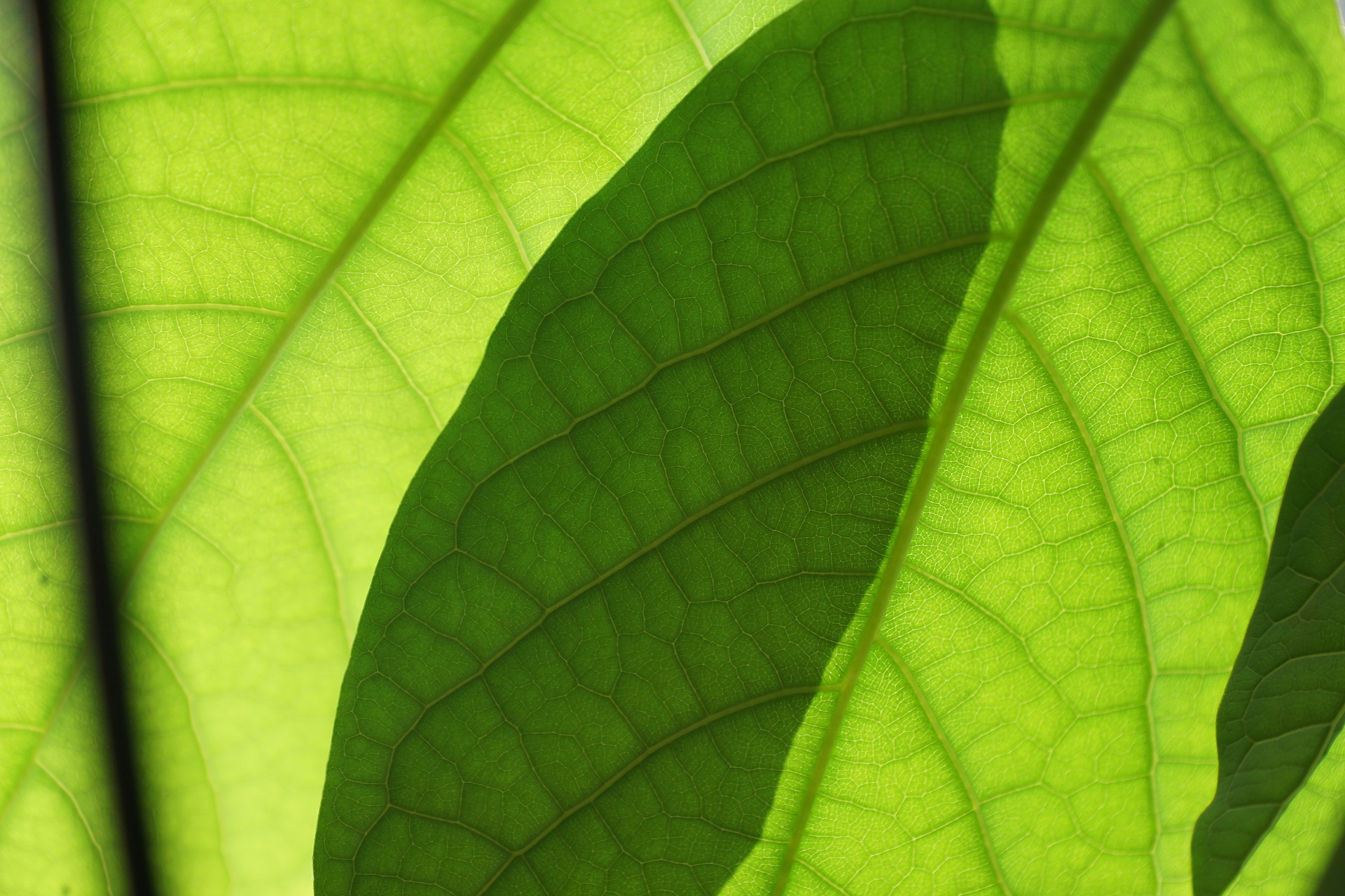 Title Image